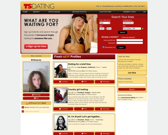 TS Dating Logo