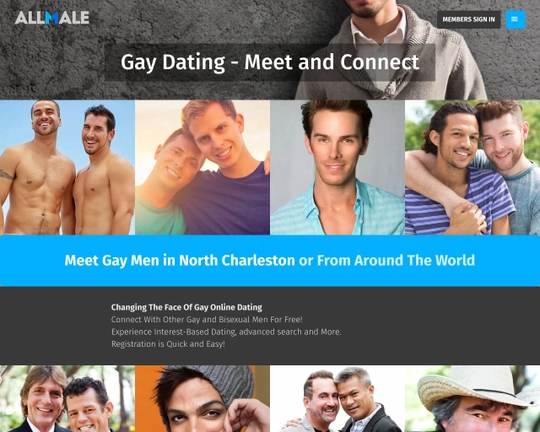 AllMale.com Logo