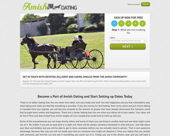 AmishDating.com Logo