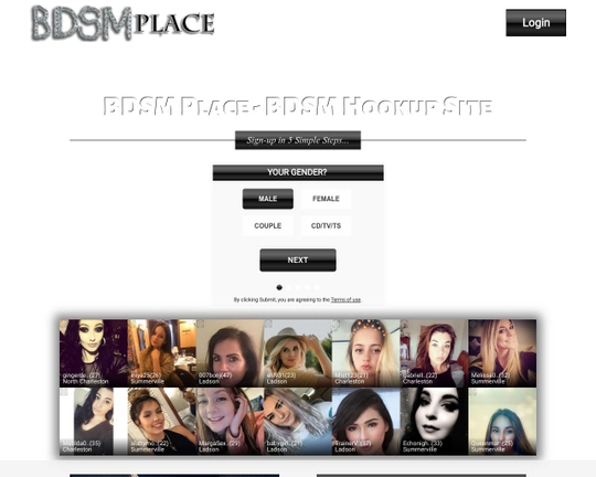 BDSMplace.com Logo