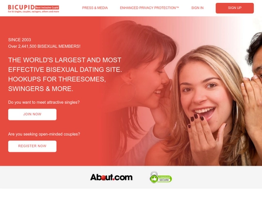Bi Cupid Logo