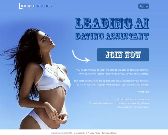 Lindigo Matches Logo
