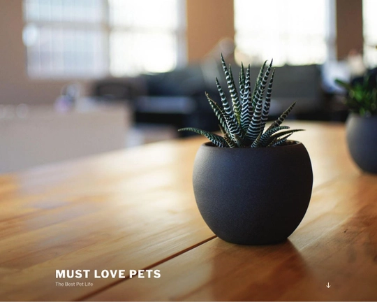 MustLovePets.com Logo